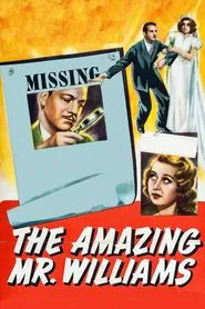 The Amazing Mr. Williams movie poster