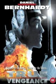 Poster do filme True Vengeance
