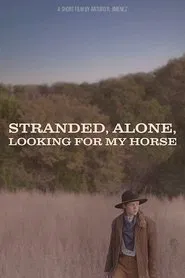 Stranded, Alone, Looking for my Horse movie poster