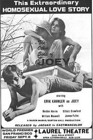 The Other Side of Joey movie poster