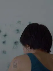 Through the Flow of Summer Snow movie poster