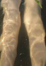 Sister City movie poster