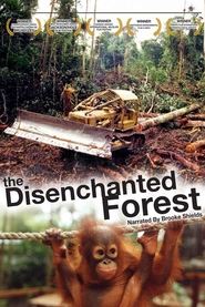 Disenchanted Forest movie poster