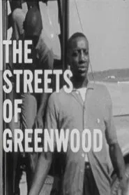 The Streets of Greenwood movie poster