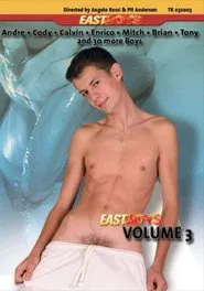 Poster do filme EastBoys Volume 3