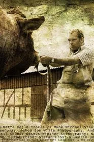 The Bull movie poster