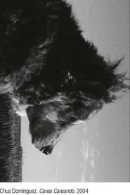 Carea careando. De pastores, perros y rebaños movie poster