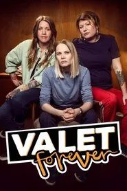 Valet forever tv show poster