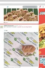 Poster do filme Freshbuzz (subway.com)