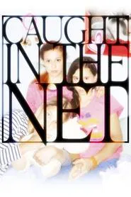 Caught in the Net movie poster