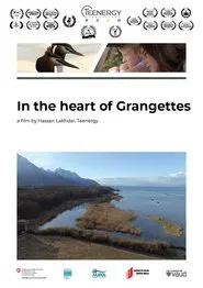 Au coeur des Grangettes movie poster