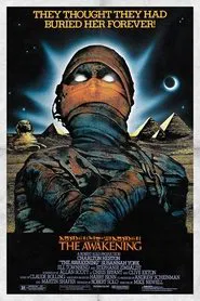 Poster do filme Reencarnação