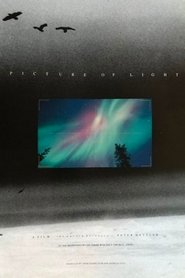 Picture of Light movie poster