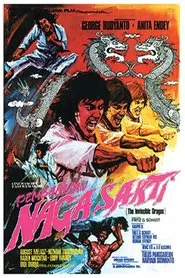 Pembalasan Naga Sakti movie poster