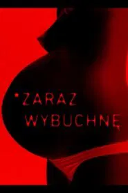 #polish_women_resistance movie poster