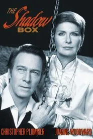 Poster do filme A Caixa de Surpresas