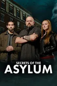 Secrets of the Asylum tv show poster