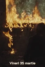Vineri 35 martie movie poster
