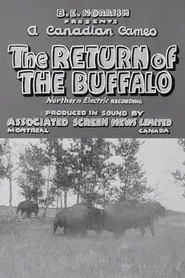 Return of the Buffalo movie poster