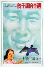 鸽子迷的奇遇 movie poster