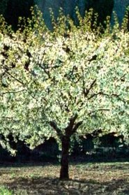 Quiproquo movie poster