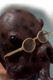 Nipple Hot Springs: The Octopus' Gratitude movie poster