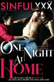 Poster do filme One Night At Home