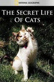 Poster do filme The Secret Life of Cats