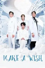 Make a Wish tv show poster