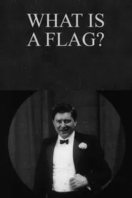 What Is a Flag? movie poster