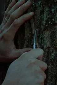 Une saison sans Guy movie poster