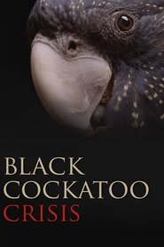 Black Cockatoo Crisis movie poster