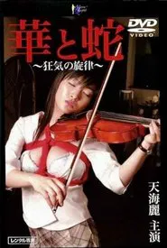Poster do filme 華と蛇　～狂気の旋律～