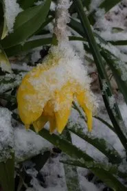 The Grave's Sky movie poster