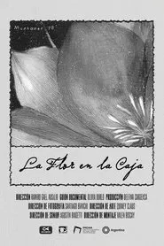 Poster do filme La Flor en la Caja