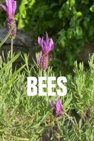 Bees movie poster