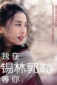 我在锡林郭勒等你 tv show poster