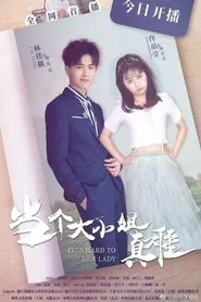 It's Hard to Be a Lady tv show poster