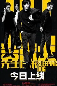 奔流犬：先生归来 movie poster