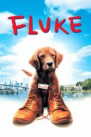 Fluke movie poster