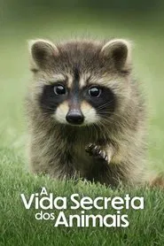 Poster da série A Vida Secreta dos Animais