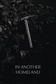 In Another Homeland movie poster