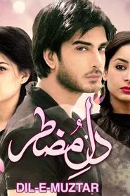 Dil e Muztar tv show poster