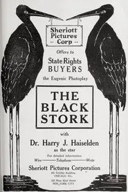 The Black Stork movie poster
