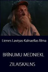Miracle Hunters: Zilaiskalns movie poster