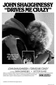 Drives Me Crazy movie poster