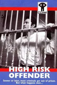 High Risk Offender movie poster