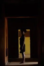 There Is No Light Inside the Mirror movie poster