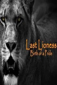 The Last Lioness: Birth of a Pride movie poster