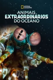 Poster da série Animais Extraordinários do Oceano